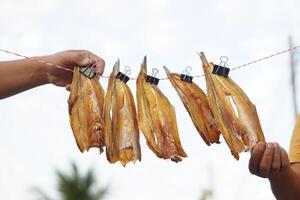 Dried fish hanging to dry on a line  outdoor. Concept, food preservation for next time cooking or keep long live of food by drying on sunlight or air. Local wisdom of keep food. photo