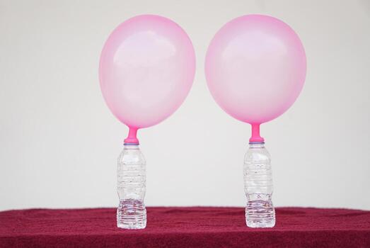 Inflated balloons on top of transparent test bottles. Concept, science experiment about reaction of chemical substance, vinegar and baking soda that cause balloon inflat. Last step of experiment photo