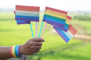cerca arriba mano sostiene arco iris colores banderas concepto, lgbtq celebracion en orgullo mes, junio. símbolo de lgbt comunidad alrededor el soporte.mundial humano Derecha de género diversidad. foto