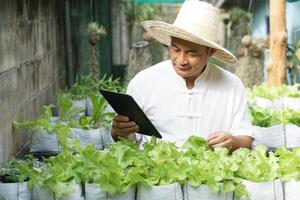Asian man gardener is checking and inspecting quality, growth and plant diseases of organic salad vegetables by using smart tablet. Concept, Agriculture research. Learn from internet to develop crops. photo
