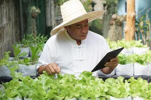 Asian man gardener is checking and inspecting quality, growth and plant diseases of organic salad vegetables by using smart tablet. Concept, Agriculture research. Learn from internet to develop crops. photo