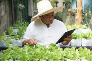 asiático hombre jardinero es comprobación y inspeccionando calidad, crecimiento y planta enfermedades de orgánico ensalada vegetales por utilizando inteligente tableta. concepto, agricultura investigación. aprender desde Internet a desarrollar cultivos. foto