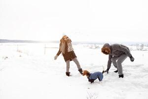 A young couple, a man and a woman are walking with their dog in the winter snow-covered forest. Winter leisure. Dog lovers photo