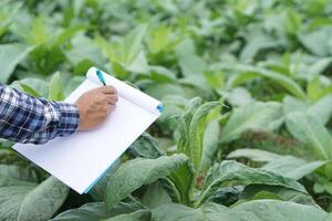 Close up famer is writing on paper notepad about growth and diseases of plants in garden. Concept, agriculture research to develop crops. Observing and inspecting quality. photo