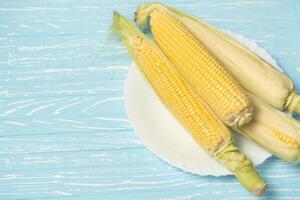 Corn cob with green leaves lies on white plate blue color background. photo