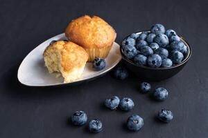 Blueberry antioxidant organic superfood in ceramic bowl and sweet muffin photo