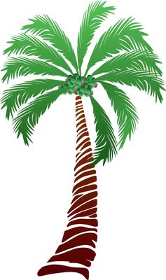 Palm tree illustration. a tropical island with palms. Nature logo icon