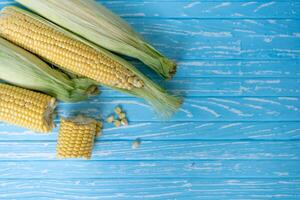 Corn cob with green leaves lies on table blue color background. photo