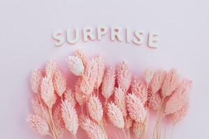 Beautiful pink dried flowers on a pink background with the inscription surprise in white letters and free space for the text photo