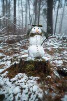 Snowman on a tree stump with carrot, buttons, branches, pine needles as hair photo