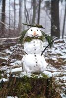 monigote de nieve en un árbol tocón con zanahoria, botones, sucursales, pino agujas como pelo foto