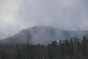 Foggy forest on a mountain in the Elbe Sandstone Mountains. Gloomy atmosphere photo