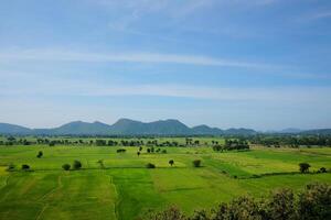Landscape valley of mountain and greenery paddy rice field in Thailand photo