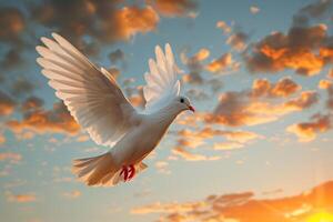 AI generated White dove flies into the sunset sky photo