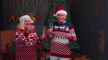 glimlachen senior grootouders familie paar Holding Kerstmis Bengaals schittert, bril van Champagne video