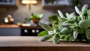 AI generated Sage leaf medicine herbal ingredient. Health aromatherapy herb. photo