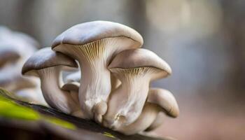 AI generated Mushrooms Group on Tree Branch. Generative AI photo