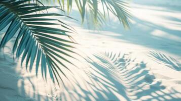 AI Generated Soft palm shadows over white sandy beach in sunlight photo