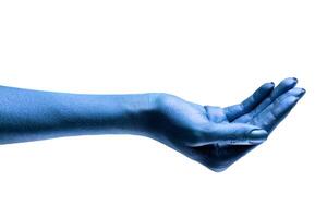 female hands in various poses and gestures photo