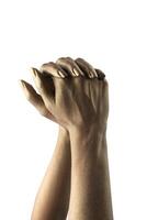 female hands in various poses and gestures photo