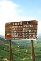 landscapes and details of beautiful Chilean vineyards photo