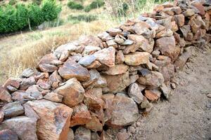 landscapes and details of the beautiful vineyards of Chile photo