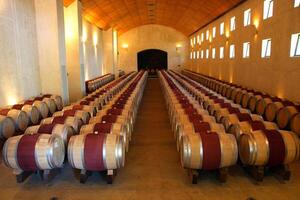 landscapes and details of the beautiful Chilean vineyards photo