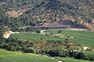 landscapes and details of the beautiful Chilean vineyards photo