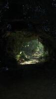 un fascinante viaje mediante un misterioso túnel en nuevo Zelanda video