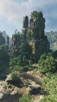 A dense forest with towering rocks and majestic trees video