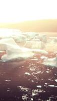 Icebergs floating on water video