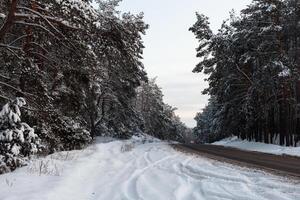 road in a snowy forest photo