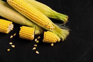 Corn cob with green leaves lies on table black color background. photo