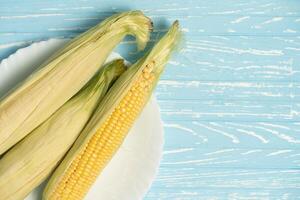 Corn cob with green leaves lies on white plate blue color background. photo