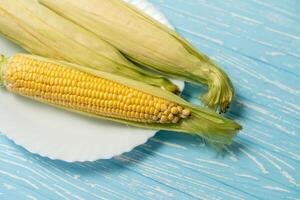 Corn cob with green leaves lies on white plate blue color background. photo