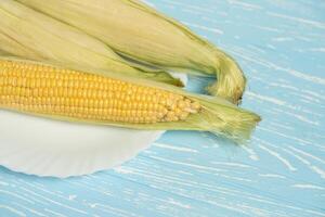 Corn cob with green leaves lies on white plate blue color background. photo