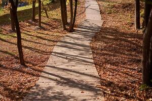antiguo la carretera hecho de de madera tablones como en un otoño parque. foto