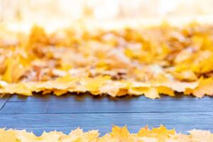 Empty wooden table nature bokeh background with autumn yellow maple leaf boarder Template mock up for display of product Copy space photo