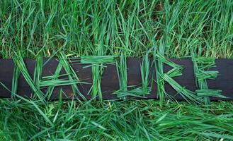 ecological message in grass that says nature photo