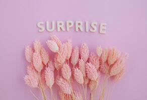 Beautiful pink dried flowers on a pink background with the inscription surprise in white letters and free space for the text photo