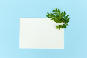 Desktop mock-up with blank paper card, branch on white shabby table background. Empty space. Styled stock photo, web banner. Flat lay photo