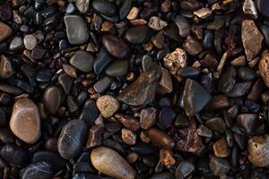 texture of wet shiny small sea stones photo