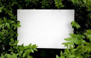 Creative layout made of green leaves with paper card note. Flat lay. Nature concept photo