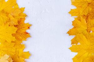 Autumn leaves frame on white background top view Fall Border yellow and Orange Leaves vintage structure table Copy space for text. photo