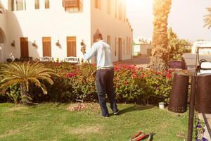 hombre es corte arboles en el parque profesional jardinero en un uniforme cortes arbustos foto