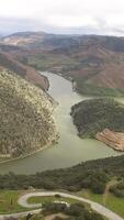 vertical vídeo de el increíble douro Valle y río douro en Portugal aéreo ver video