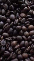 verticaal video van koffie bonen achtergrond