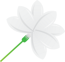 Weiß Jasmin Blume zum Dekoration Design png