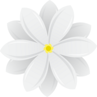Weiß Jasmin Blume zum Dekoration Design png