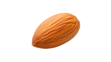 AI generated Almond cut out. Isolated almond on transparent background png